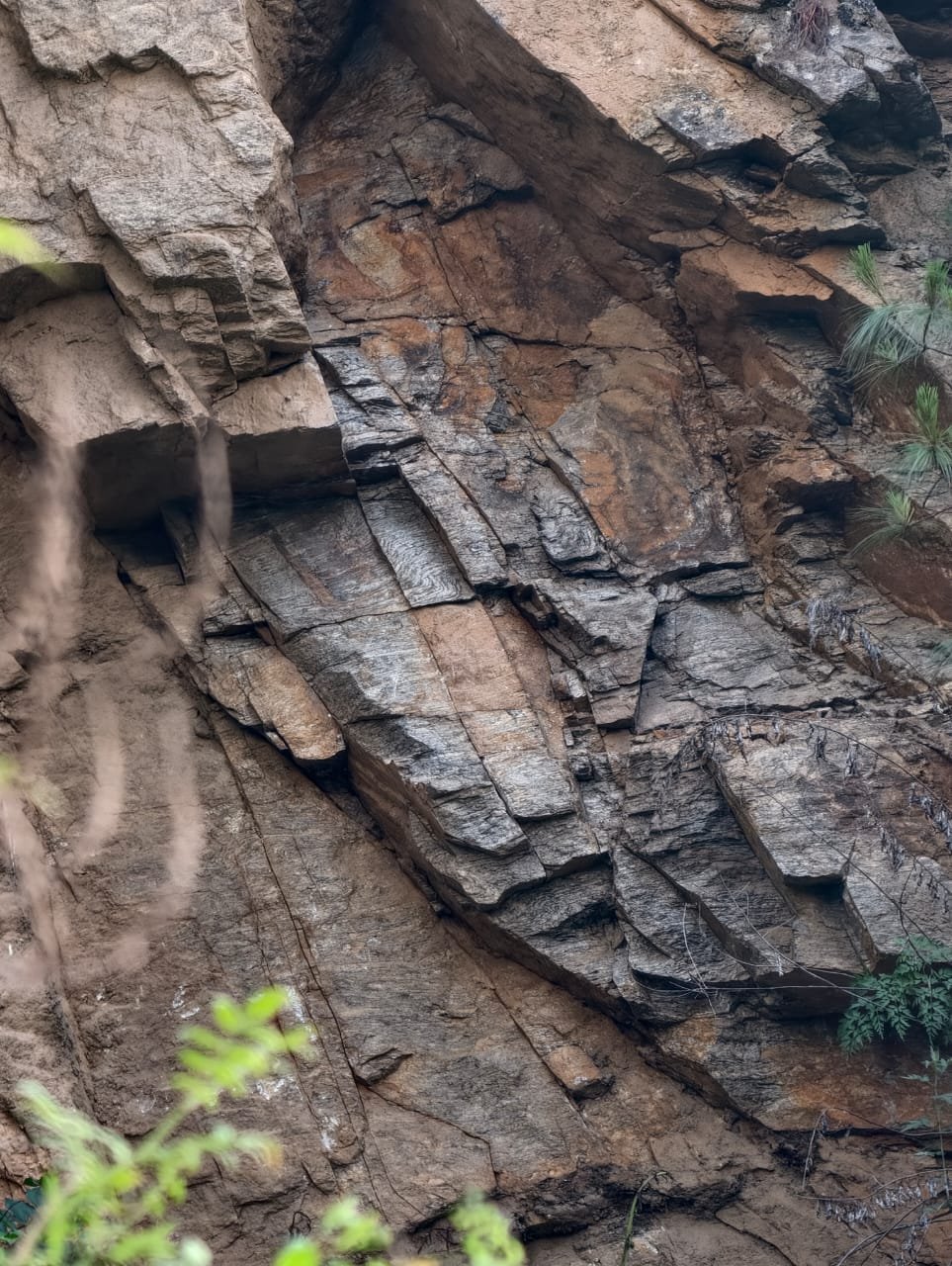 Exposed rock face showing folded and layered geological strata.